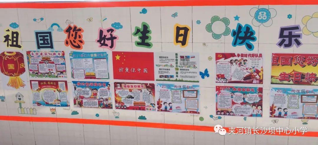 创作猫